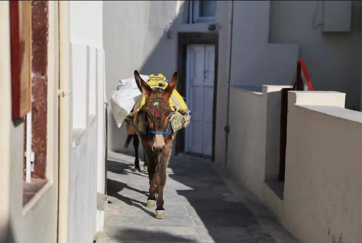 Art Riad Au Bord De La Mer El Jadida Eksteriør bilde